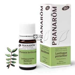 Pranarom-Lentisque-Pistachier-Huile-Essentielle-Bio-5-ml.jpg
