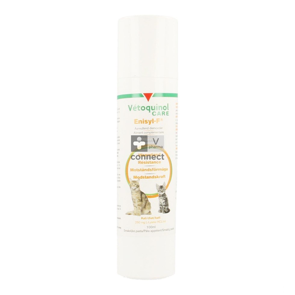 Enisyl F Orale Pasta Kat 100ml