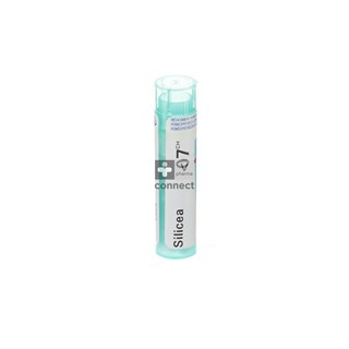 Silicea-Granules-7Ch-Boiron.jpg