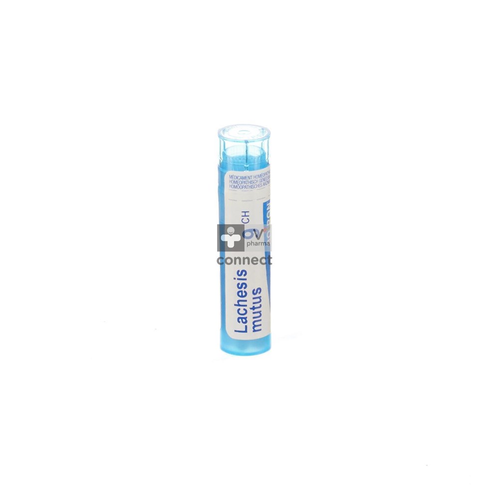 Lachesis Mutus 9ch Gr 4g Boiron