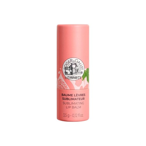 Roger&gallet Fleur Figuier Lippenbalsem 3,5g