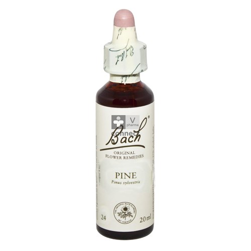 Bach Flower Remedy N.24 Pin 20 ml