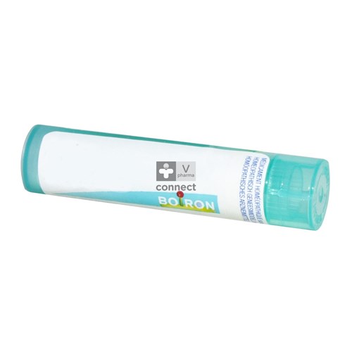 Silicea Granules   6D Boiron