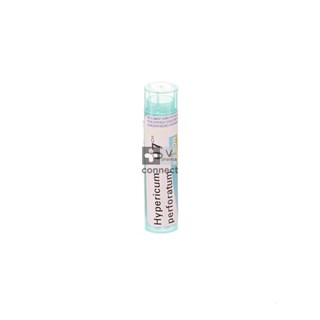 Hypericum-Perforatum-Granules-7Ch-Boiron.jpg