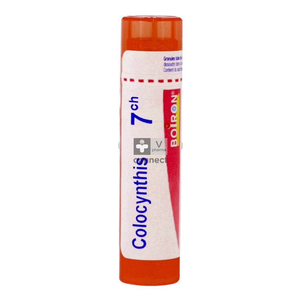 Colocynthis 7ch Gr 4g Boiron
