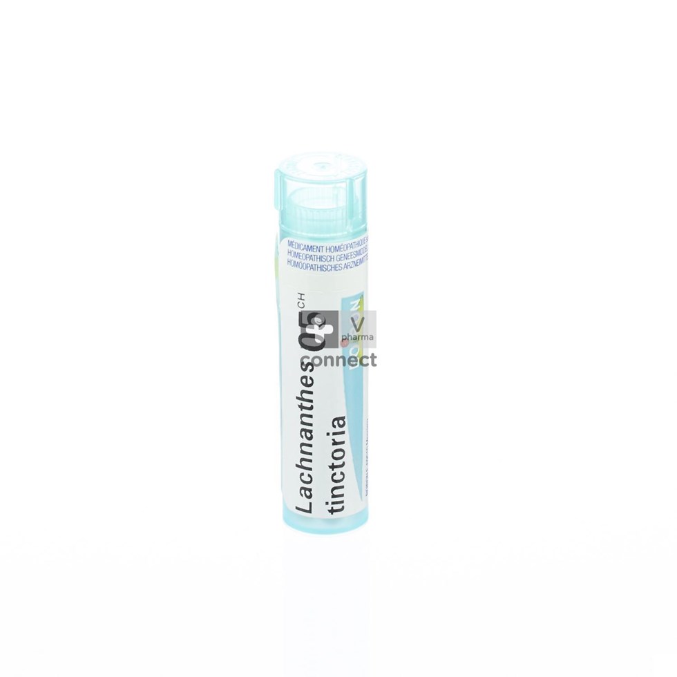 Lachnanthes Tinctoria 05ch Gr 4g Boiron