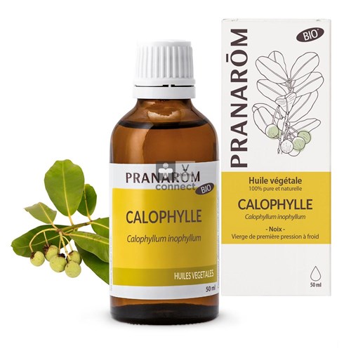 Pranarom Calophylle Huile Végétale Bio 50 ml