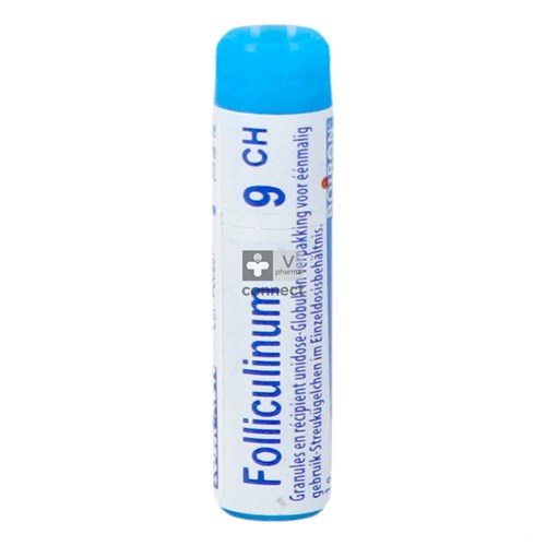 Folliculinum 9ch Gl Boiron