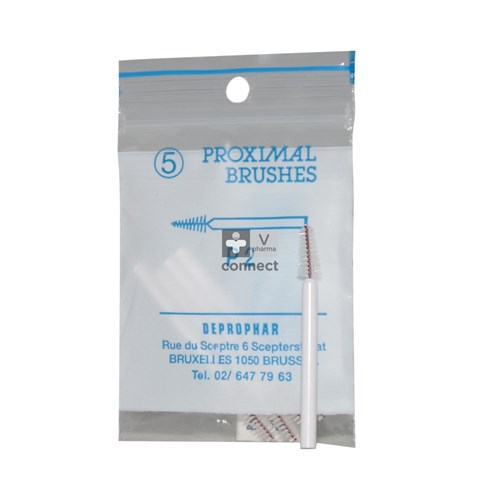 Proximal P2 Brosse Conique 5 Pieces