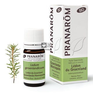 Pranarom-Ledon-du-Groenland-Huile-Essentielle-Bio-5-ml.jpg