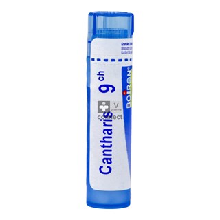 Cantharis-Granules-9Ch-Boiron.jpg