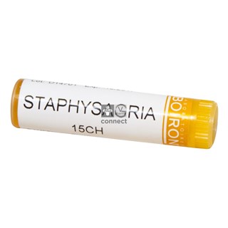 Staphysagria-Glob.-15ch-Unda--.jpg
