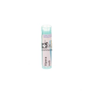 Vipera-Redi-Granules-5Ch-Boiron.jpg