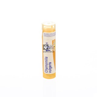 Chamomilla-Granules-15-CH-Boiron.jpg
