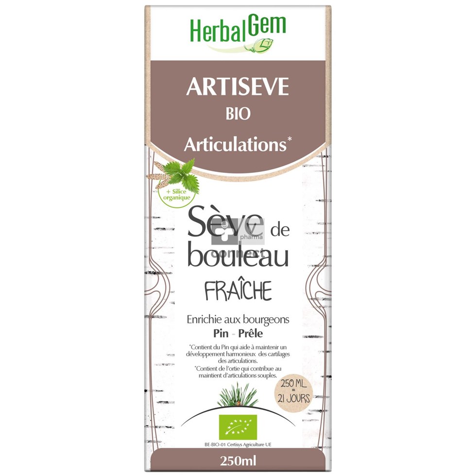 Herbalgem Artiseve Bio Fl 250ml