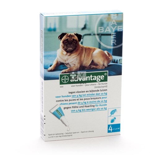 Advantage 100 Honden 4<10kg 4x1,0ml