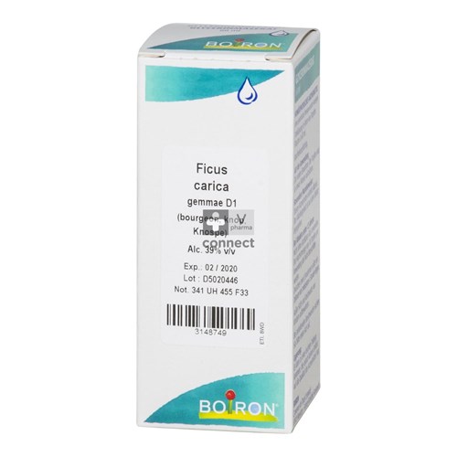 Ficus Carnica Gemmo D1    60 Ml Boiron