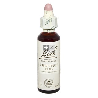 Bach-Remedy-N.-7-Bourg.Marron.-20ml-.jpg