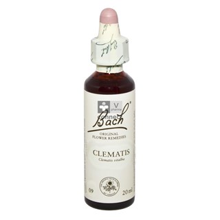 Bach-Remedy-N.-9-Clematite-20ml-.jpg