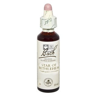 Bach-Remedy-N.29-Ornithogale-20ml-.jpg