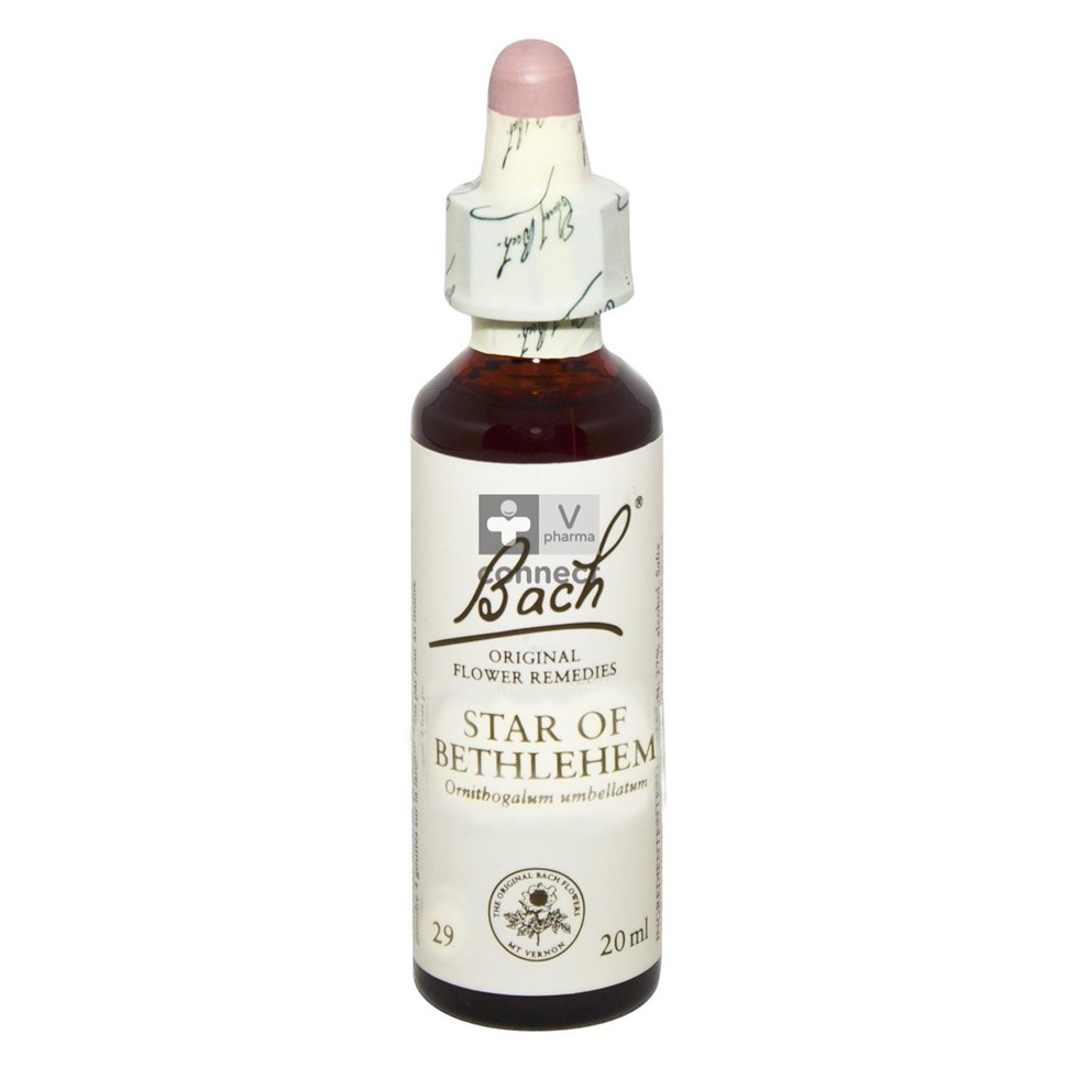 Bach Flower Remedie 29 Star Bethlehem 20ml