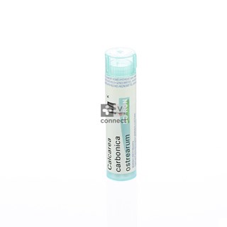 Calcium-Carbonicum-Granules-1000-K-Boiron.jpg
