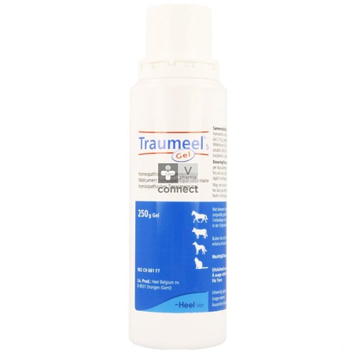 Traumeel S Gel 250 g Heel