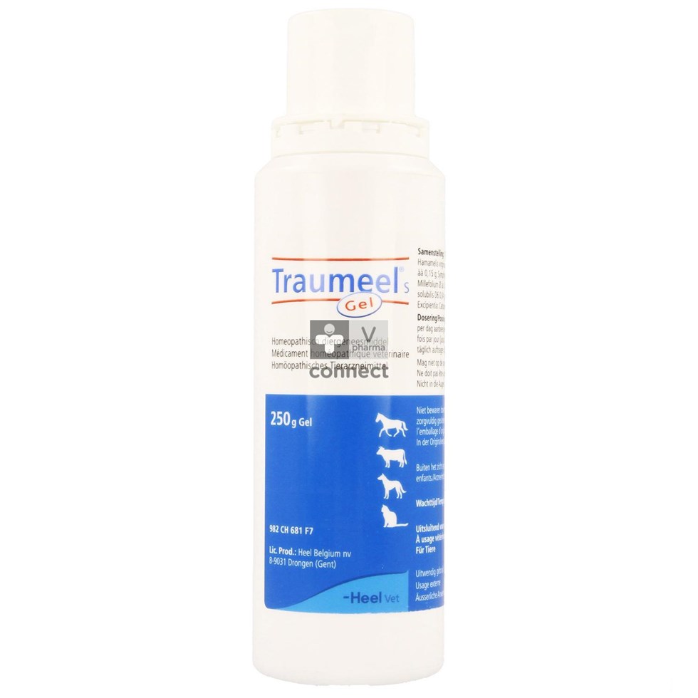 Traumeel S Gel 250 g Heel