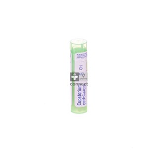 Eupatorium-Perfoliatum-Granules-5Ch-Boiron.jpg