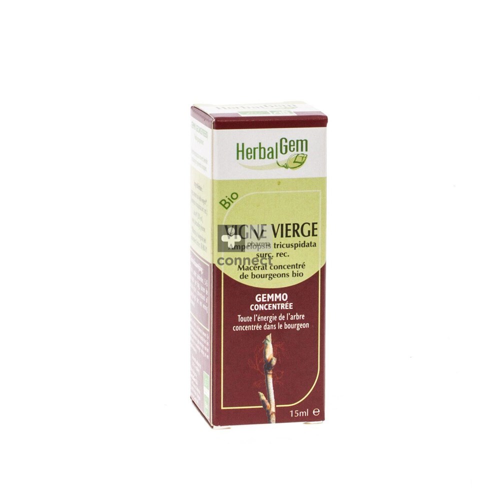 Herbalgem Vigne Vierge 15 ml