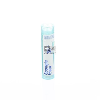 Spongia-Tosta-Granules-30-K-Boiron.jpg