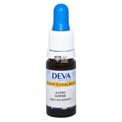 Bach Flower 20 Gorse Gutt 10ml