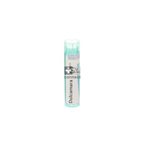 Dulcamara 7ch Gr 4g Boiron