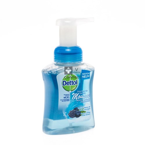 Dettol Healthy Touch Mss Wasgel Wilde Bessen 250ml