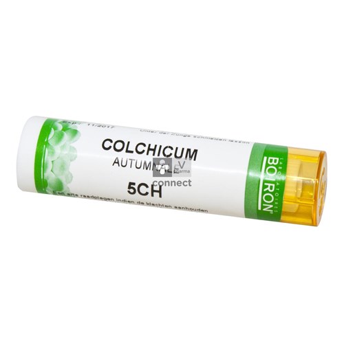 Colchicum Autumnale Granules 5ch Unda