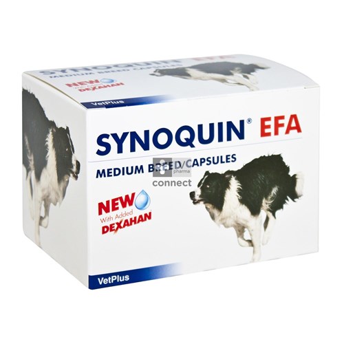 Synoquin Efa Medium Breed Caps 4x30