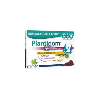 Plantigom-24-Gommes.jpg