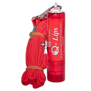 Q-Lips-Stick-4.89-Gr-Avec-Cordon.jpg