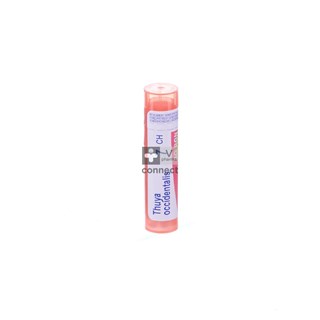 Thuya-Occidentalis-Granules-7ch-Boiron.jpg