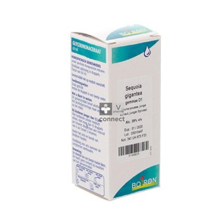 Sequoia-Gigantea-Gemmo-D1-60Ml-Boiron.jpg