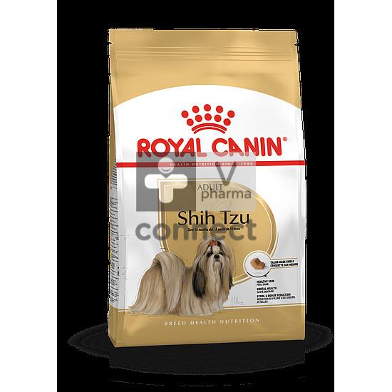 Bhn Shih Tzu 7,5kg