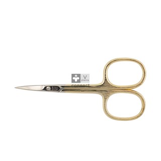 Nippes-Cis.-Envie-S.-Dore-R.805--.jpg