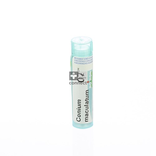 Conium Maculatum 7ch Gr 4g Boiron