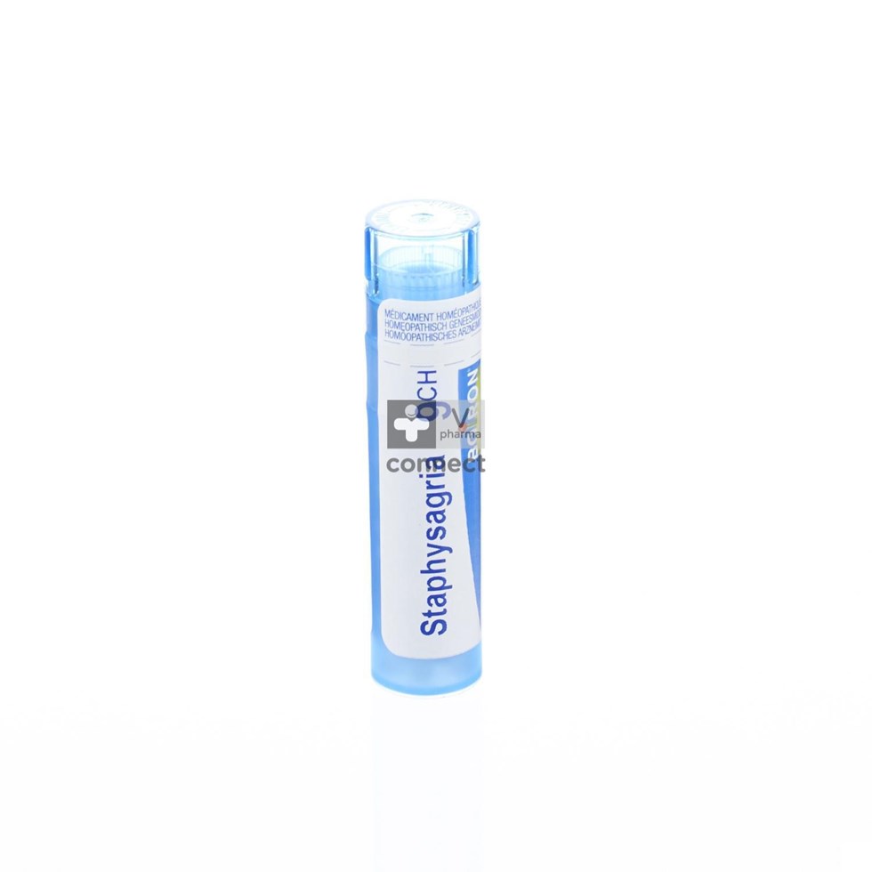 Staphysagria Granules  9Ch Boiron