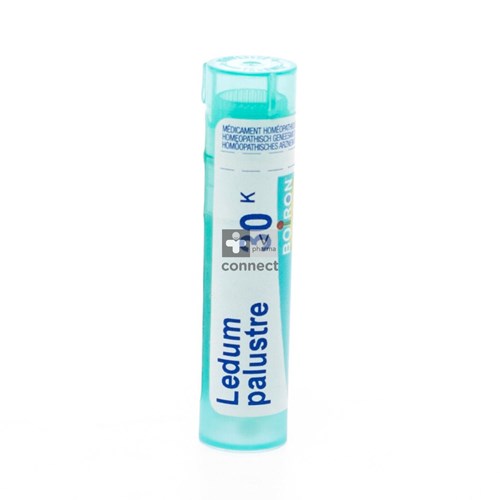 Ledum Palustre 30k Gr 4g Boiron