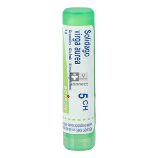Solidago-Virga-Granules-5Ch-Boiron.jpg