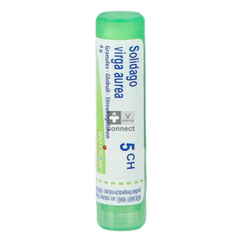 Solidago Virga Granules 5Ch Boiron