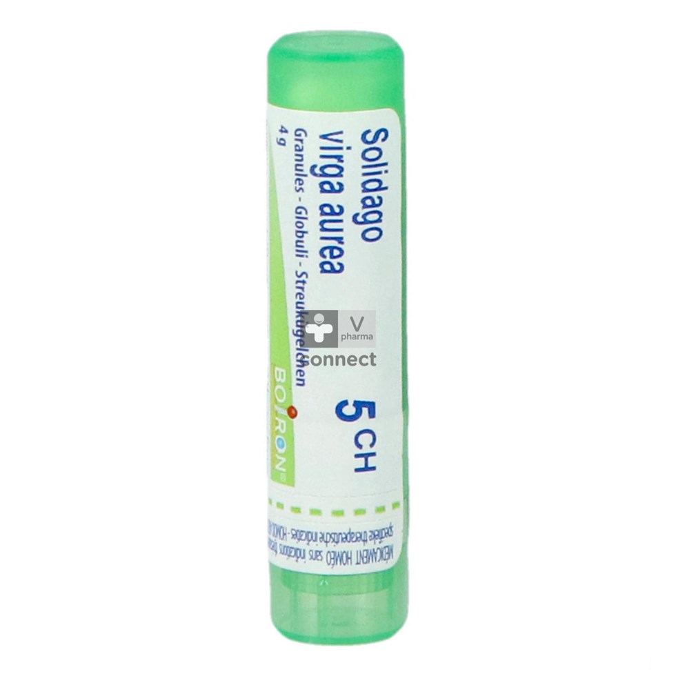 Solidago Virgaurea 5ch Gr 4g Boiron