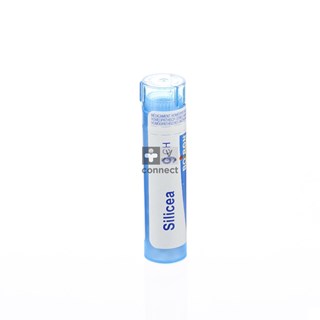 Silicea-Granules-9ch-Boiron.jpg