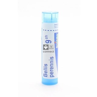 Bellis-Perennis-Granules-9-Ch-Boiron.jpg